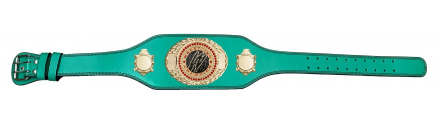 WRESTLING CHAMPIONSHIP BELT-BUD295/G/WRESTGEMG-4 COLOURS